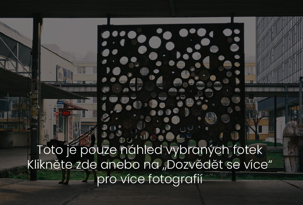 Description of image